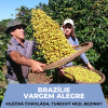 Brazil Vargem Alegre
