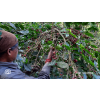 harangal farm 3